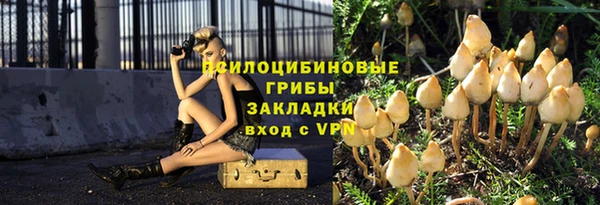 эйфоретик Тавда