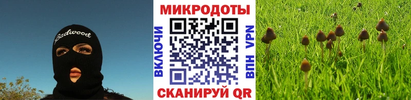 Псилоцибиновые грибы мухоморы  наркошоп  Новосокольники 