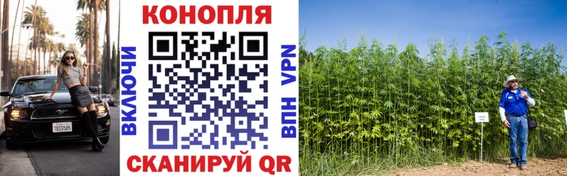 Каннабис семена  Новосокольники 